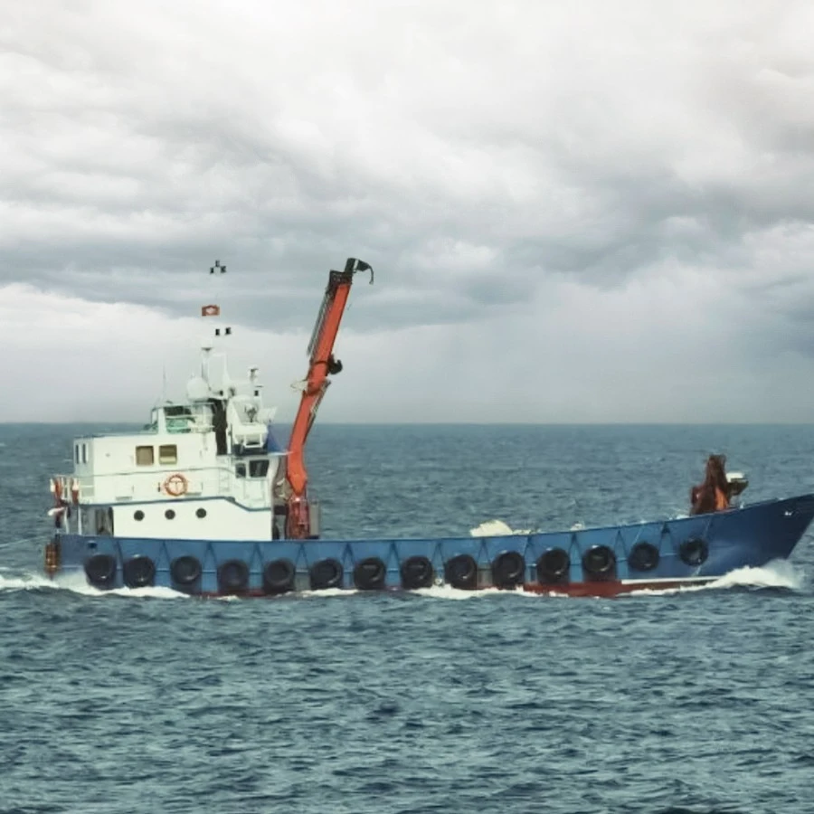Fishing Operations with Professional Fishing Cranes Fishing Operations with Professional Fishing Cranes