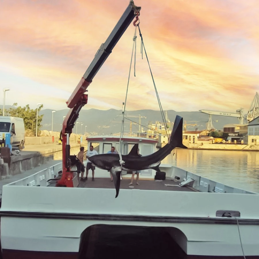 Fishing Operations with Professional Fishing Cranes Fishing Operations with Professional Fishing Cranes